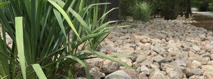 River Stones: Why You Will Want Them In Your Landscape